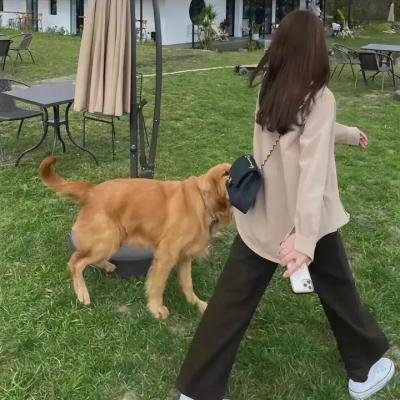 小安妮